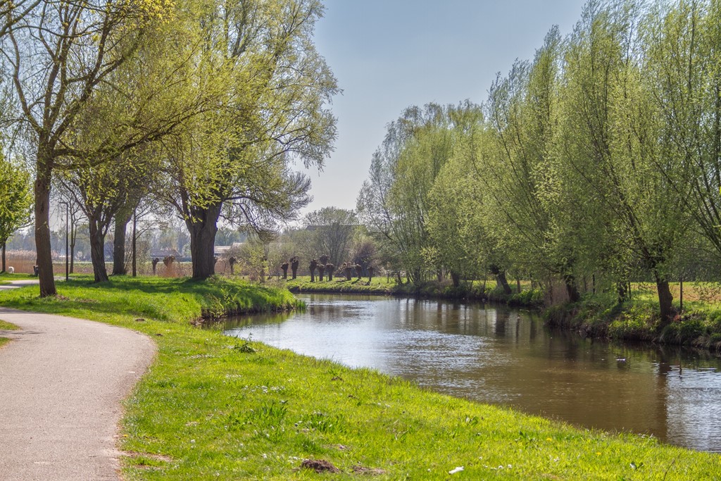 Dommeloord 54, Eline Makelaardij, foto 37.jpg